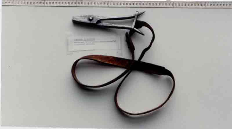 Bestand:41105 slichtmaan en slichttang.jpg