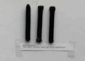 Bestand:41091 zetterstempel.jpg