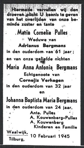 Bestand:Bergmans pulles.jpg