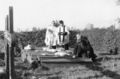 Begrafenis van de slachtoffers uit de Antoniusparochie op 2 november 1944.